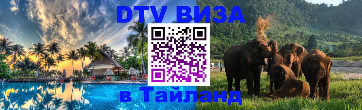 Оформление DTV визы под ключ: стоимость и тарифы, только загранпаспорт - 05.10.2025 